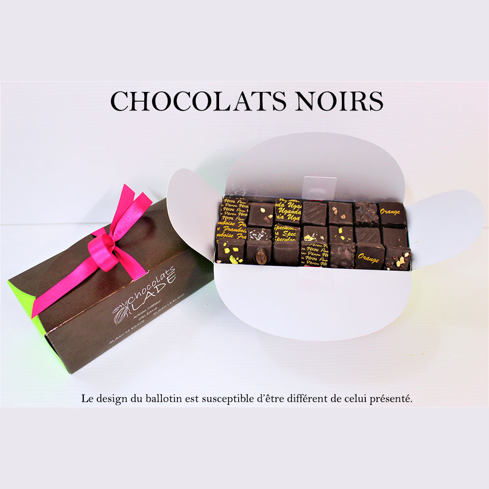 Ballotin 250g – chocolats noirs